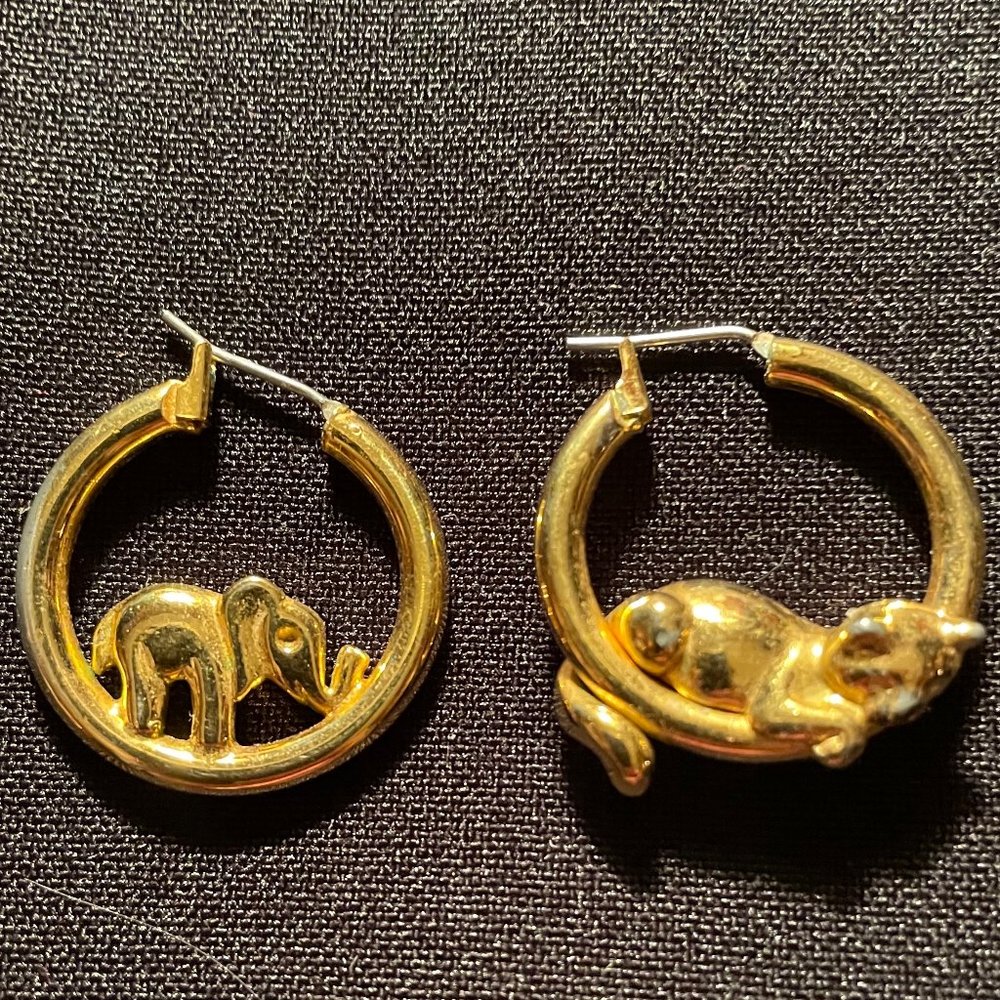 Pierced Earrings